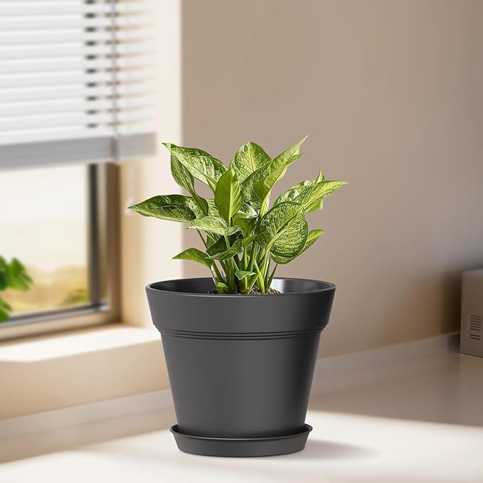 7 Inch Thick Plastic Plant Pots with Drainage Holes and Trays – 6 Pack Nursery Pots for Indoor & Outdoor House Plants, Seedling Starter Planters for Garden Flowers, Matte Black WSMKSZ