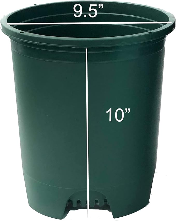 3 Gallon 6-Pack Plant Pots Nursery Pot Green Plastic Planters for Outdoor Indoor Plants Gardening Flower Pots with Drainage Holes CottaPlanters