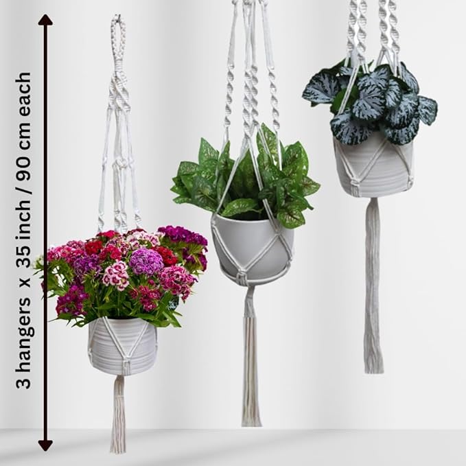 3 Pack Macrame Plant Hanger Indoor Hanging Planter for Plants Holder, Hanging Pot Holder Macrame Decorative Flower Pot Holder with 3 Hooks for Indoor Outdoor Boho Home Décor, Ivory (POTS NOT INCLUDED) Feedee
