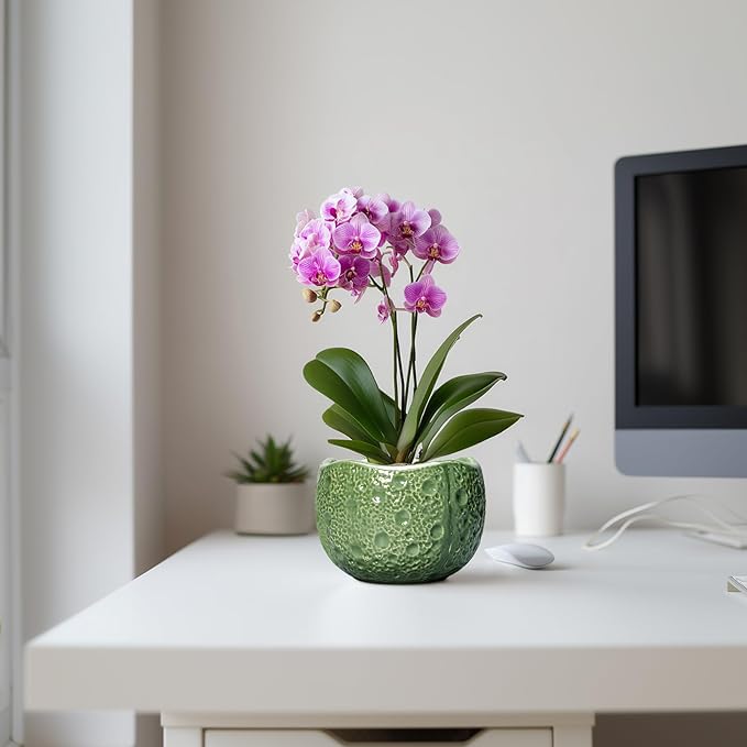 6 Inch Plant Pot - Orchid Pot with Drainage Hole, Ceramic Planter for Indoor Outdoor, Decorative Plant Pots, Modern Round Unique Flower Pots, Living Room Decor, Gifts for Women Men, Green Thirtypot