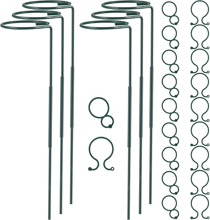 Plant Stake Support - 6 Pack Adjustable Height 16" or 30", Garden Support Stake Plant Cage Support Rings, Single Stem Plant Support Stakes, for Flowers Amaryllis Tomatoes Peony Lily Rose (30inch) RAIKEDR