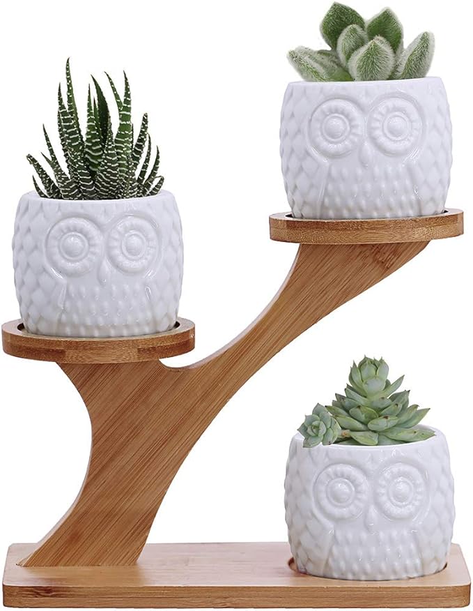 3pcs Owl Succulent Pots with 3 Tier Bamboo Saucers Stand Holder - White Modern Decorative Ceramic Flower Planter with Drainage - Home Office Desk Garden Mini Cactus Plant Pot Indoor Decoration Winlyn
