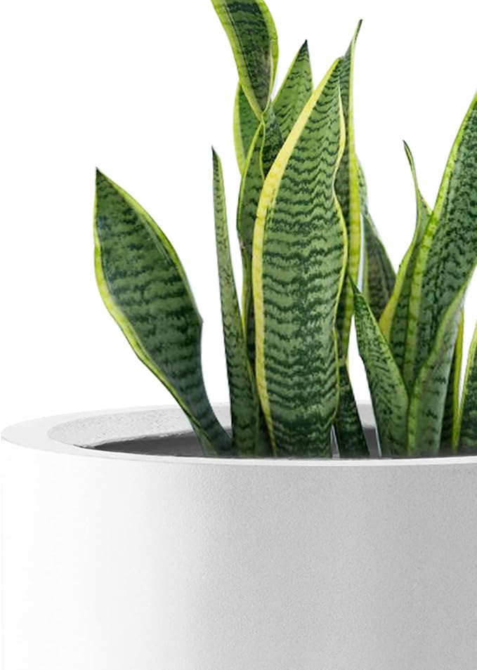 Kante RC0119ABC-C80011 Set of 3 Lightweight Concrete Modern Cylinder Outdoor Planters, 15.8, 12.9 and 9.8 Inch Diameter, Pure White Kante