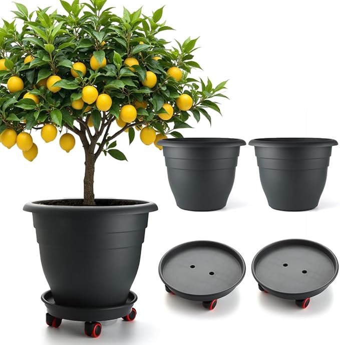 3-Pack Jumbo 15.7 Inch Planters with Rolling Saucers & Drainage – Large Flower Pots for Indoor/Outdoor, Heavy-Duty Moving Trays, Fits Tall Plants (Set of 3, Black) RooTrimmer