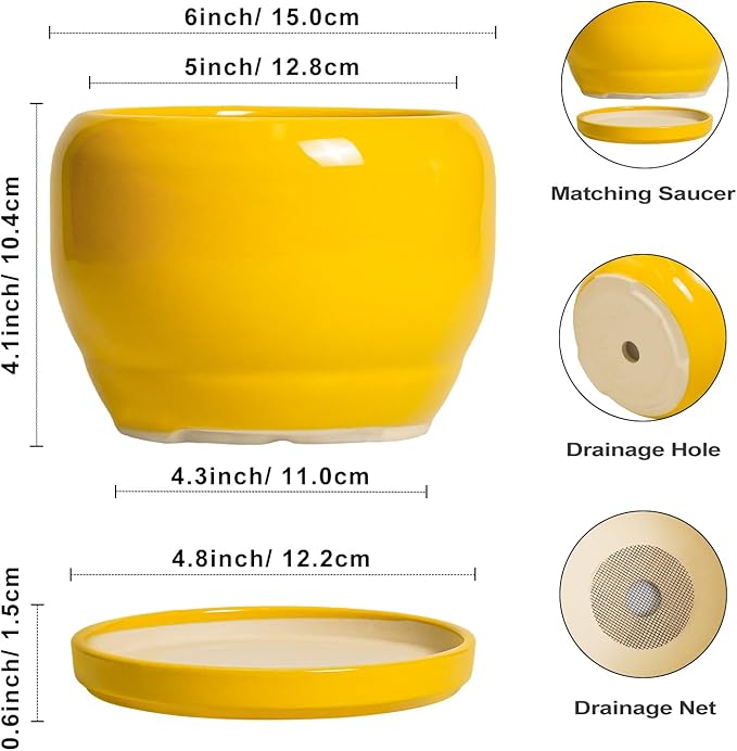 SQOWL 6 Inch Plant Pot - Ceramic Planter with Drainage Hole and Saucer, Modern Ceramic Flower Pots for Indoor Plants Outdoor, Round Decorative Small Planter, Desk Decor, Garden Gifts, Yellow SQOWL