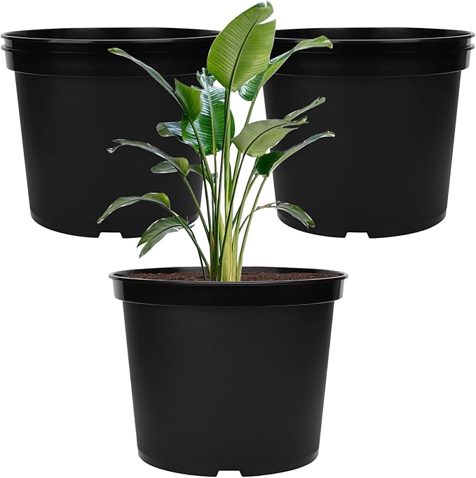 GREANER 5 Gallon Pots for Plants, 5PCS Black Nursery Pots with Drainage Holes, Plastic Seed Starting Container for Succulents, Flowers, Tomatoes, Seedlings GREANER