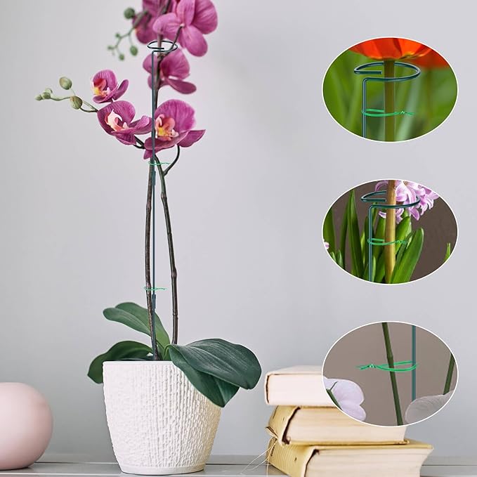 2 Pack (DIY) Plant Support Stakes, Three Sizes (12 or 24 or 36 inch) Plant Support Rings with 20 Pcs Plant Twist Ties, Garden Stake for Indoor Outdoor Plant Flowers, Amaryllis, Tomatoes Numyew