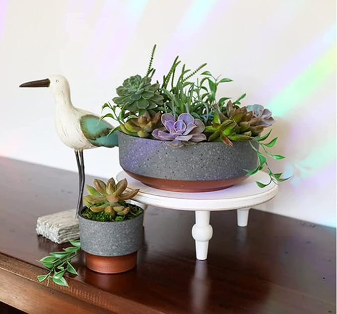 The HC Companies 8 Inch Round Plastic Succulent Capri Bowl 8"x8"x3" in Faux Concrete Color with Copper Band TheHCCompanies
