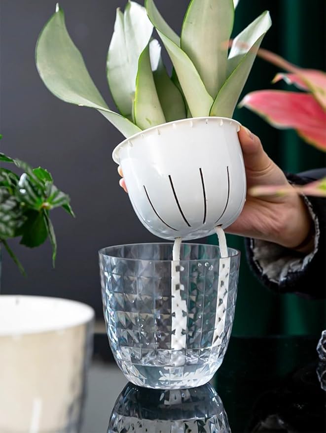 2 Pack 6 inch Self Watering Pots Planters for Indoor Plants, African Violets Pots with Wick Rope, Modern Plastic Nursery Pots for All House Plants,Flowers Succulents,Herbs,Cactus,Orchids XKYQSY
