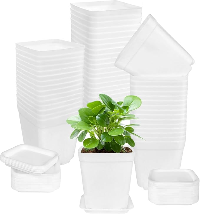 OJYUDD 72 Pcs 3 Inch White Square Plastic Pots with Saucer,White Plastic Plant Seedling Pots,Seedling Nursery Pots Indoor Outdoor for Succulents/Plant,Garden,Office and Balcony Decor OJYUDD