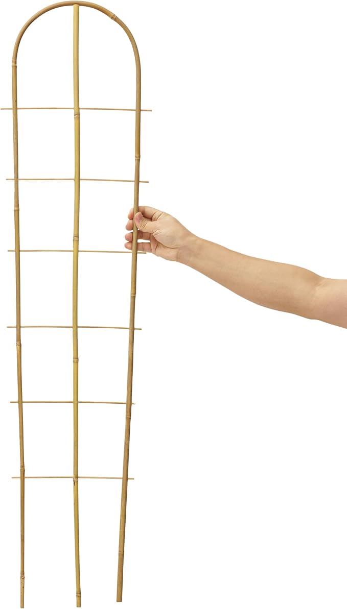 5 Pack 4 Feet U-Shape Bamboo Trellis, Natural Bamboo Trellis for Climbing Plants, Vegetables, Cucumber, Tomato, Outdoor and Indoor Potted Plants Taoskai
