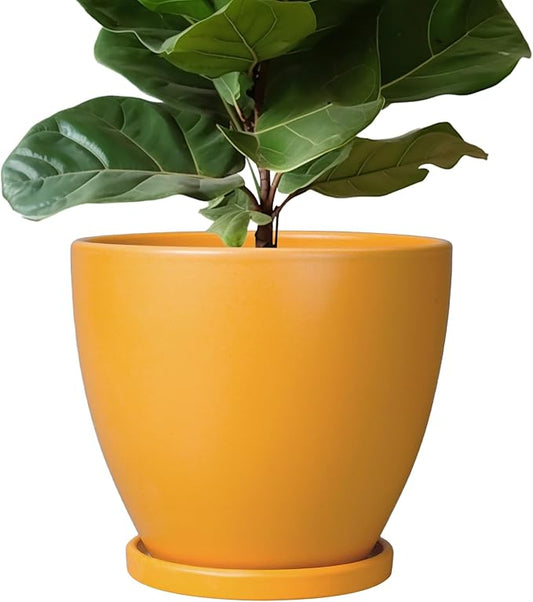 10 Inch Plant Pot - Ceramic Planter with Drainage Hole and Saucer, Modern Flower Pot, Round Planters for Indoor Plants, Home Patio Bathroom Porch Garden Living Room Decor, Orange EPFamily
