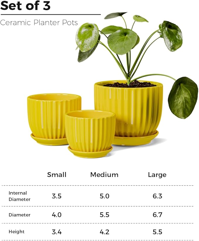 Ton Sin Ceramic Flower Pots,Yellow Plant Pots for Indoor Plants,4.1+5.1+6.5 inch Ceramic Plant Pots with Tray,Medium Indoor Planters for Aloe Cactus Decorative Pots with Drainage Hole (Set of 3) TonSin