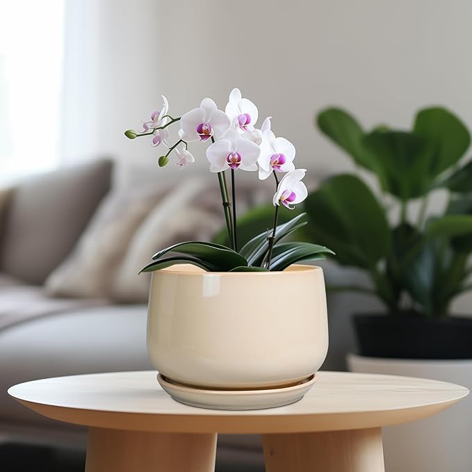 G EPGardening Ceramic Planter - 7 Inch Plant Pots with Drainage and Ceramic Tray, Flower Pots for Indoor Plants, Round Outdoor Planter, Room Decor, Gifts for Plant Lovers, Beige GEPGardening