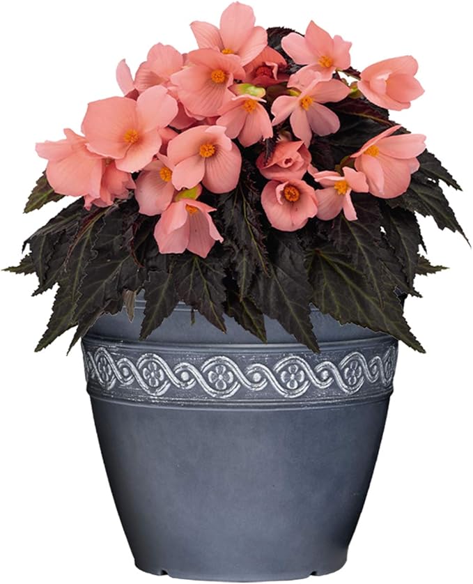 Classic Home and Garden Corinthian Resin Flower Pot Planter, Storm Blue, 8" (Pack of 4) ClassicHomeandGarden