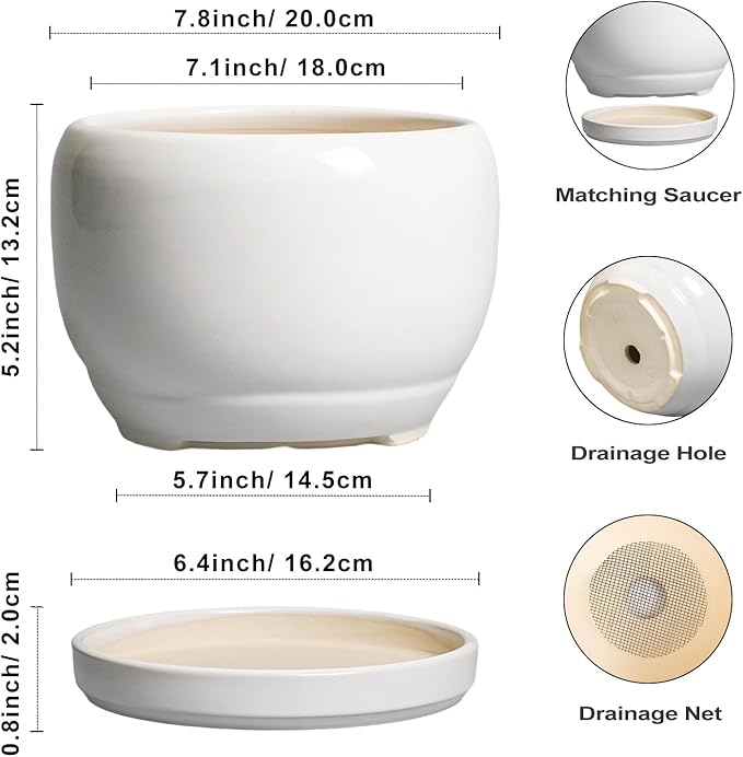 SQOWL Ceramic Planters for Indoor Plants - 8 Inch Plants Pot, Round Outdoor Flower Pot with Drainage Hole and Saucer, Decorative Modern Planter, Kitchen Decor, House Gifts, White SQOWL