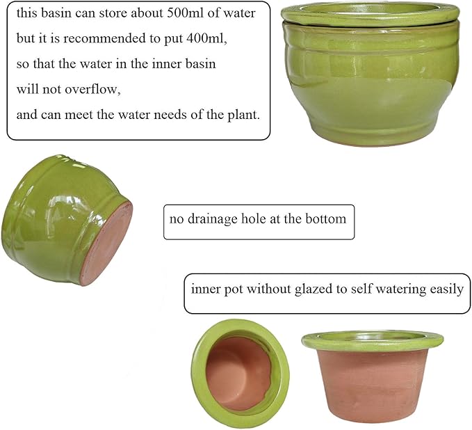 African Violet Pots Self Watering Round Ceramic Violet Pot (Green, 6 inch) Dphagesy