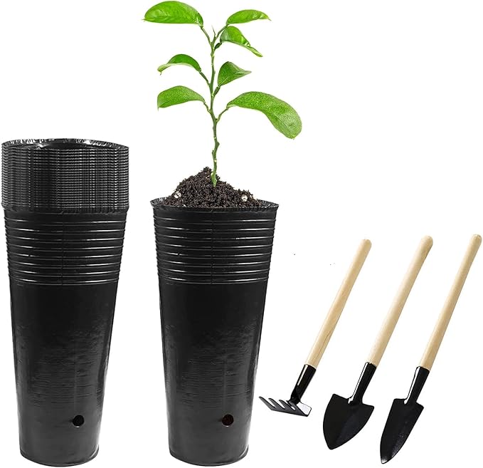 20 Pcs Plastic Deep Nursery Pots - 9.8" Tall Tree Pots, Indoor/Outdoor Use with 3 Pcs Garden Tools Hzloyat