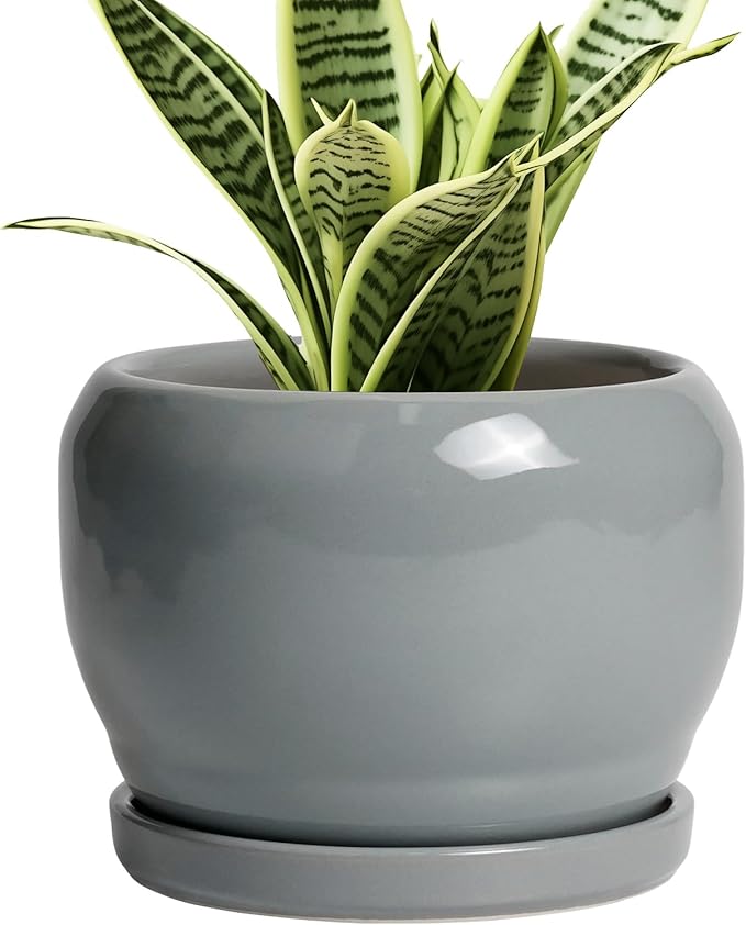 SQOWL 6 Inch Plant Pots - Ceramic Planter with Drainage Hole and Saucer, Round Ceramic Flower Pot Indoor Outdoor, Modern Succulent Planter, Bathroom Decor, Gifts for Plant Lovers, Grey SQOWL