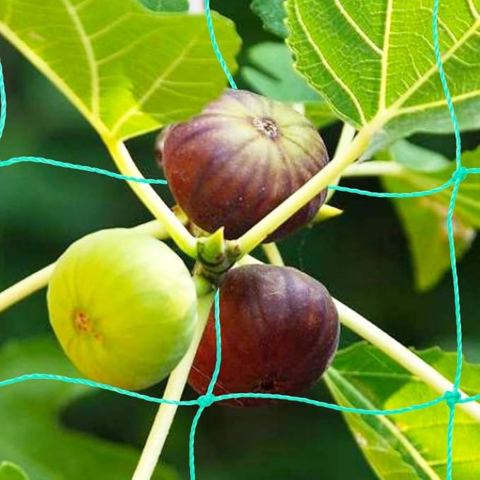 Pack of 2 Cucumber Tomato Trellis Netting, Heavy Duty Garden Netting Support for Climbing Plants, Pea, Grape, Bean, Fruit, Vegetables - 4" Mesh Size - 6Ft x 16.4Ft Zivisk