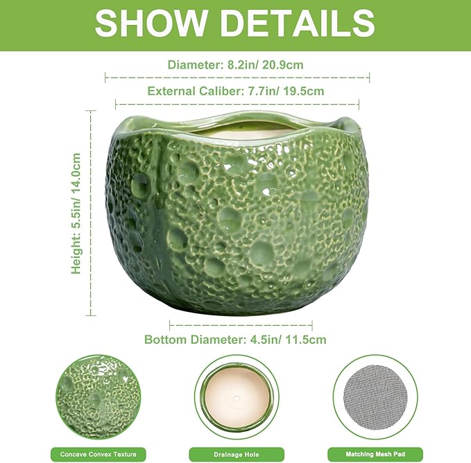 8 Inch Plant Pot - Ceramic Pots for Plants with Drainage Hole, Round Decorative Plant Pots for Indoor Outdoor, Modern Unique Flower Pot, Office Decor, Garden Gifts, Green Thirtypot