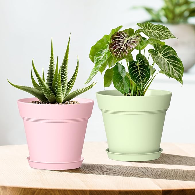 5 Inch Plastic Plant Pots with Drainage Holes and Trays – 6 Pack Small Nursery Pots for Indoor & Outdoor House Plants and Flowers, Seedling Starter Planters, Colorful WSMKSZ