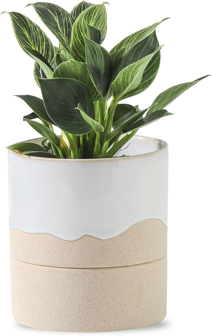 Nihow Self Watering Plant Pot: 4.5 Inch Ceramic Planter with Drainage Hole & Water Storage Plus for Indoor & Outdoor Plants - Cylinder Flower Pot for Herbs/Violets - White & Nature Nihow