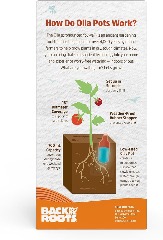 Back to the Roots Self-Watering Terracotta Olla Pot, 700mL Provides 1 Week of Precision Watering BacktotheRoots