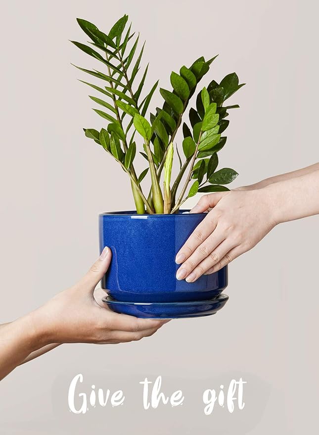 LE TAUCI Ceramic Plant Pots, 4.3+5.3+6.8 inch, Set of 3, Planters with Drainage Hole and Saucer, Indoor Flower Pot with Hole Mesh Pad, Gifts for Mom, Sapphire Blue LETAUCI