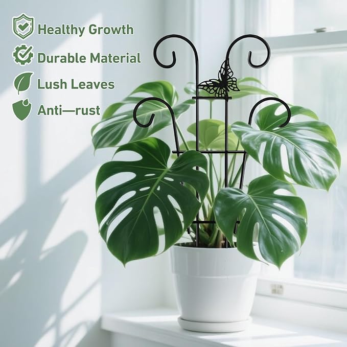Coomin 14.5 Butterfly Indoor Plant Trellis for Potted Plants, Small Metal House Plant Trellis for Climbing Plants, Climber Plant Support for Hoya Pothos Ivy, 2p COOMIN