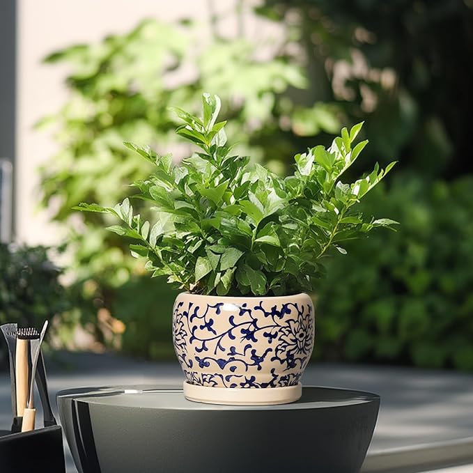 SQOWL Ceramic Flower Pots - 6 Inch Plant Pot Indoor with Drainage Hole and Saucer, Porcelain Ceramic Planter Outdoor, Decorative Round Small Planter, House Decor, Plant Lover Gifts, Blue and Beige SQOWL