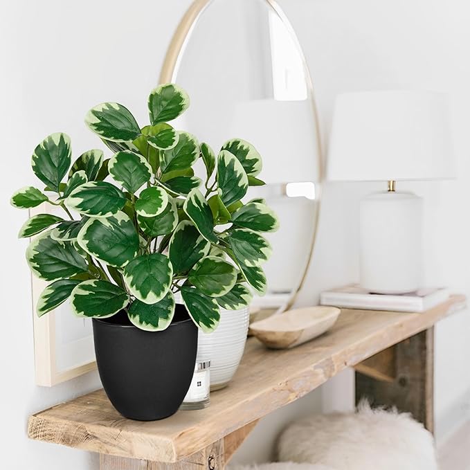 14.5" Artificial Plants Indoor Home Decor, Fake Potted Silk Plants for Shelves Living Room Decorative, Small Artificial Office Desk Plant in Pots, Faux Peperomia Hope Tropical House Plant VillaComo