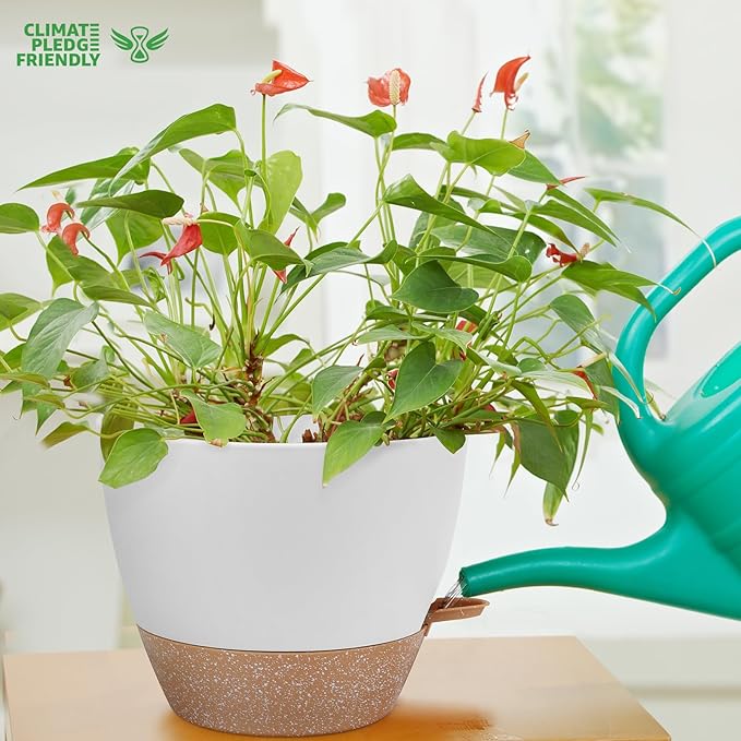 12 Inch Large Self Watering Plant Pot Set, Flower Pots with Multi-Mesh Drainage Holes and Saucer, Suitable for Indoor and Outdoor Garden Plants, White. AFamilyofGardenLovers