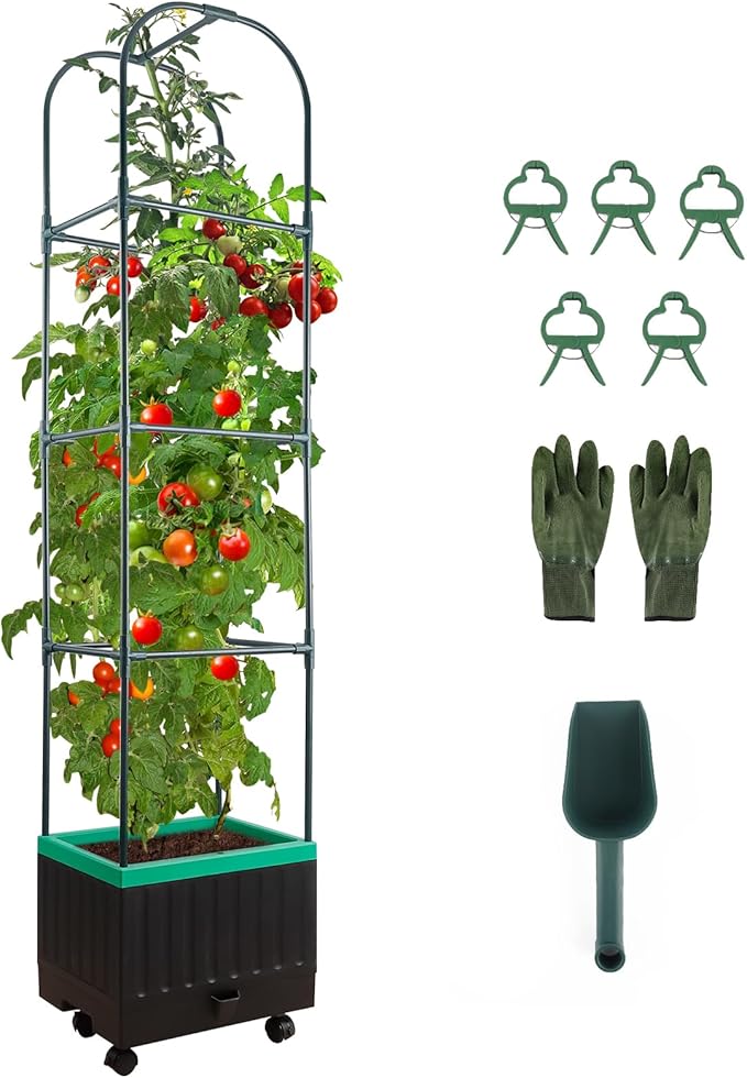 Raised Garden Bed with Self Watering Garden Pots, Planter Box with Trellis for Climbing Plants Vegetable Vine Flowers, Tomato Cage Planter for Indoor Outdoor Yard Greenhouse Use YHTPOUQE