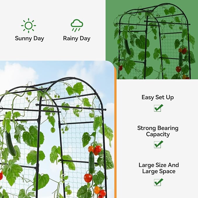 Lalahoni Garden Arch Trellis for Climbing Plants Outdoor, 80 Inch Tall Grape Metal Vine Plants Support Flower Vegetable Tomato, Cucumber Trellis for Raised Bed, Black Thereasonyoulovegardening