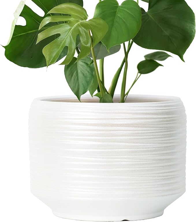 10 Inch Ceramic Plant Pot with Drainage – Large Flower Pot for Indoor Outdoor Plants, Modern Decorative Planter for Patio, Balcony, Garden, or Home Decor Bestseler