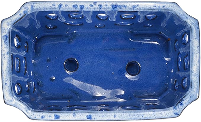 W&W Orchid Pot with Holes and Saucer for Repotting, White and Blue, 9.7 Inch WWHomeDecor