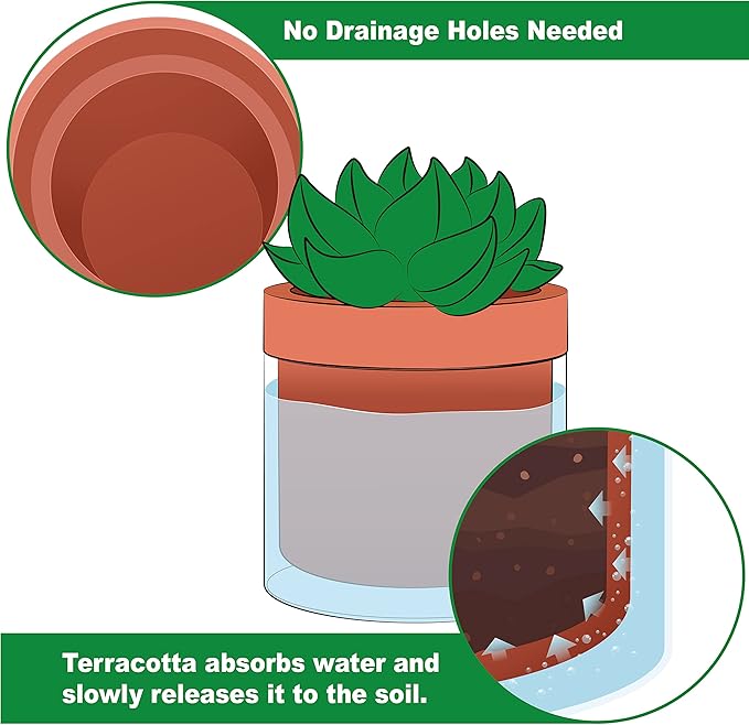 Phoenix Vine 4 Inch Self Watering Planter Pot, Terracotta Clay Pot with Glass Reservoir for Indoor Plants, Herbs, Flowers, Set of 1, 52-A-E-1 Phoenix+Vine