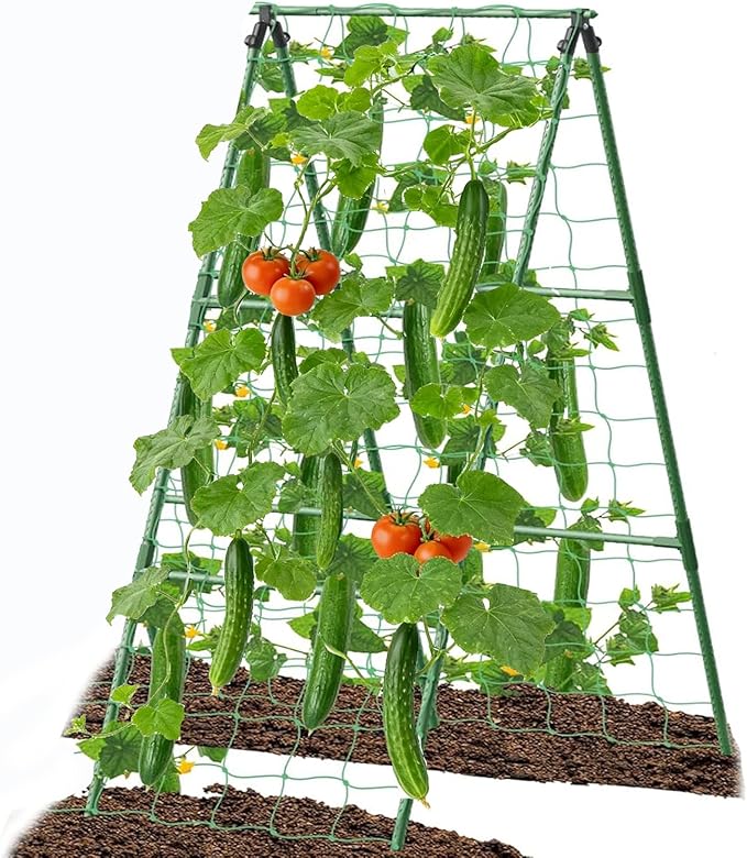 Cucumber Trellis Garden Trellis Arch Trellis, Tall Trellis for Climbing Plants Support Vegetable Peas Fruit Vine Outdoor A-Frame Trellis Suit for Small Plant not Heavy 7Queen