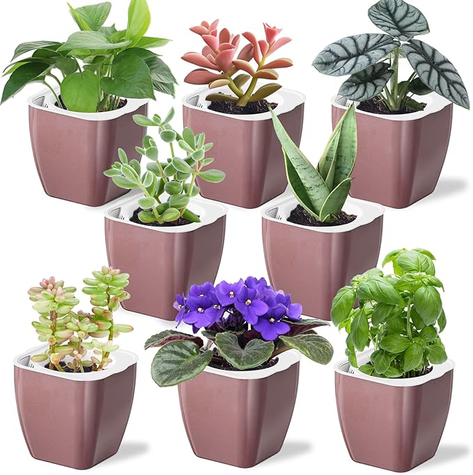 8 Pack Self Watering Pots 4-inch Decorative Flower Planters for Indoor Plants Modern Square planters for Small Plants Window Sill Planters for Succulents, African Violets, Herbs(Rose Gold) Oliz