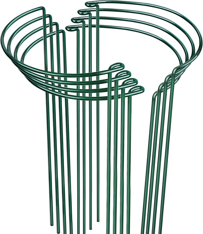 LEOBRO Plant Support, 8 PCS Peony Cages and Supports, Plant Stakes, Plant Supports for Indoor Plants, Outdoor Plants, Monstera Hydrangea Support Cage, 10" W x 24" H LEOBRO