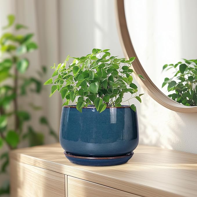G EPGardening Ceramic Pot for Plants - Modern 7 Inch Round Planter with Drainage and Tray Indoor Outdoor for Flower, Porch Decor, Gardening Gifts, Retro Blue GEPGardening