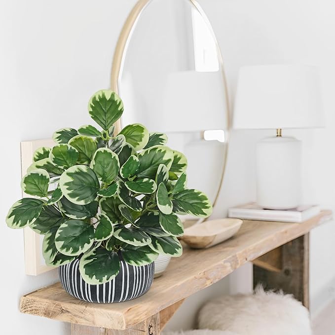13" Artificial Plants Indoor Small Fake Plant in Ceramic Pot, Silk Plants for Home Decor Indoor, Faux Peperomia Potted Plant for Shelves, Desks, Home, Room, Office, Bedroom, Entryway, Tabletop Decor VillaComo