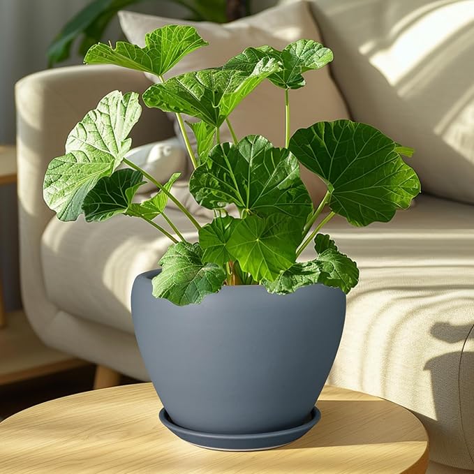 Ceramic Pot for Plants - 8 Inch Plant Pot Indoor with Drainage Hole and Saucer Decorative Planter for Outdoor Plants Modern Flower Pot for Home Decor Garden Gray Ceramicfor