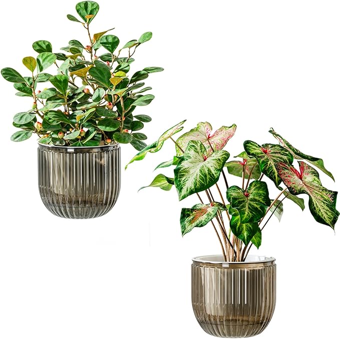 Melphoe Self Watering Pots for Indoor Plants Planter, 6.5 Inch 2 Pack Planters Self Watering Plant Pots for Flower, Houseplants, Succulent, African Violets and Cactus with Drainage Melphoe