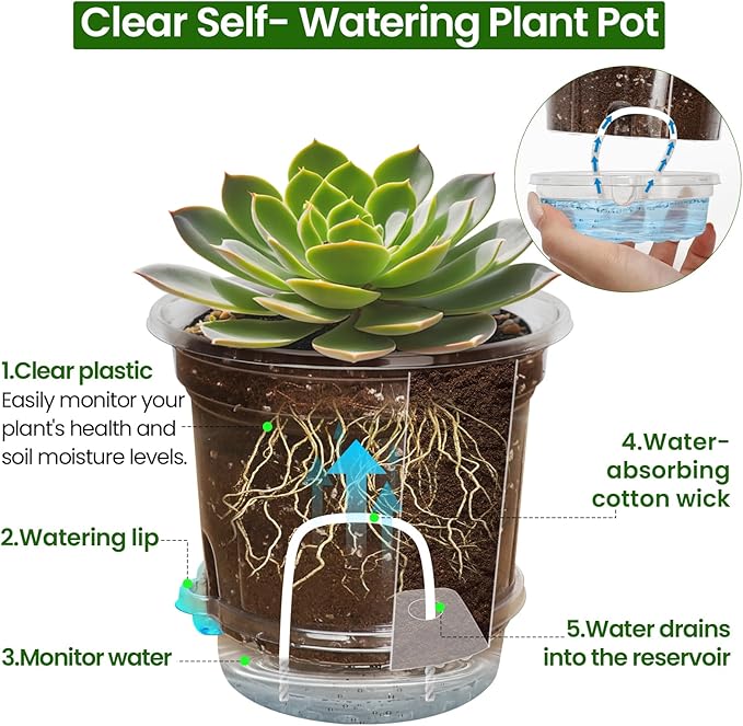 20 Pack 5 Inch Clear Self Watering Plant Pots with Bottom Water Tray & Watering Rope, Transparent Nursery Pots with Drainage for Seedlings, Herbs, and Houseplants Bluepro