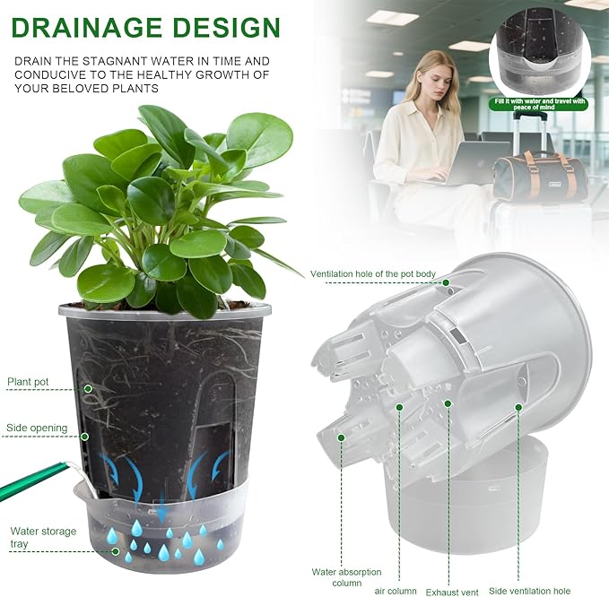 Cdd's Path Upgraded 5-Pack 6 Inch Naked Root Planter Self Watering Pots Set, Plant Pots with Holes for Indoor/Outdoor Plants with Watering Hole/Reservoir and Air Pipes, Clear Rootora