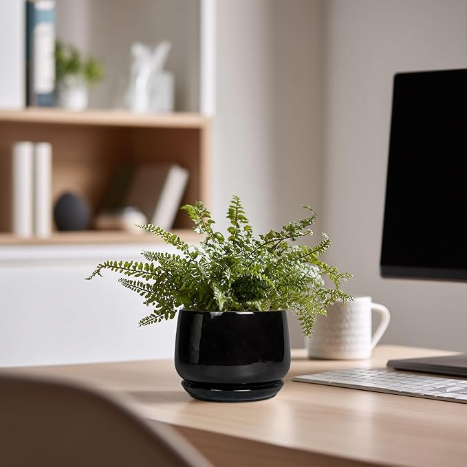 G EPGardening Small Ceramic Planter - 4 Inch Succulent Pots with Drainage Hole & Sacuer, Flower Pots for Indoor Outdoor Plants, Modern Decorative Round Planter, Room Decor, House Warming Gifts, Black GEPGardening