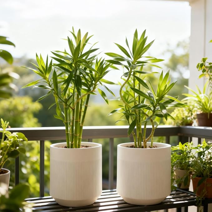 Plant Pots，Set of 2 Plastic Large Pots for Indoor Plants,Flower Pots Outdoor Planters with Drainage Hole and Seamless Saucer,(White 12Inches) Rootora