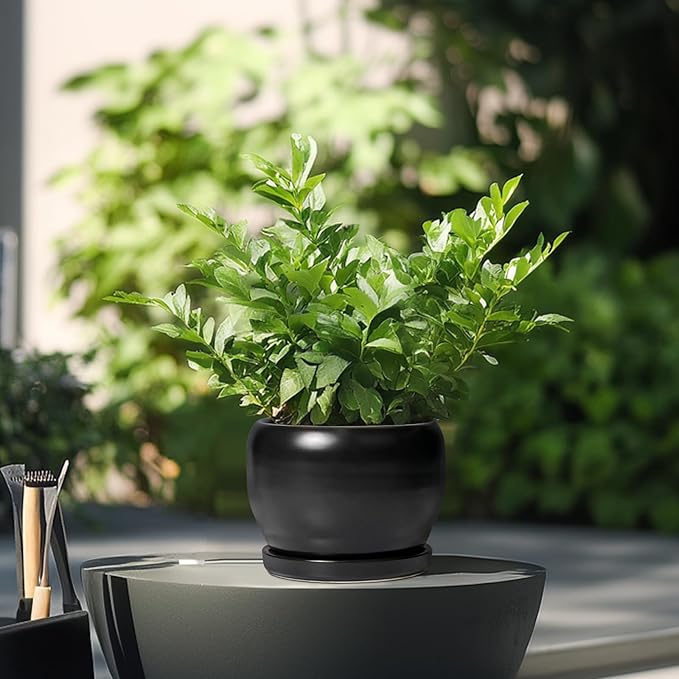 SQOWL Ceramic Plant Pot - 6 Inch Planter for Indoor Plants, Round Flower Pot with Drainage Hole and Saucer, Modern Succulent Planter Outdoor, House Decor, Plant Lovers Gifts, Black SQOWL